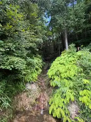 妙感寺(滋賀県)