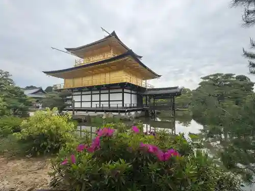 鹿苑寺（金閣寺）の{uncategorized: "未分類", other: "その他", undefined: "問題あり", building: "その他建物", grave: "お墓", sacred_gate: "鳥居", guardian: "狛犬", statue: "像", buddha: "仏像", history: "歴史", nature: "自然", garden: "庭園", animal: "動物", pagoda: "塔", temizu: "手水舎", mountain_gate: "山門・神門", sanctuary: "本殿・本堂", subordinate: "末社・摂社", art: "芸術", scenery: "景色", jizo: "地蔵", ema: "絵馬", goshuin: "御朱印", omikuji: "おみくじ", items: "授与品その他", amulet: "お守り", goshuincho: "御朱印帳", eats: "食事", festival: "お祭り", votive_dance: "神楽", shichigosan: "七五三参", wedding: "結婚式", experience: "体験その他", initially: "初詣", around: "周辺", anti_infection: "感染症対策"}