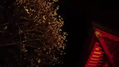 星宮神社 (山川町)のその他建物