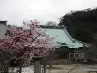 光明寺のその他建物