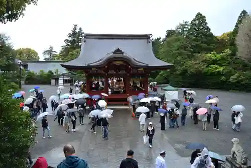 鶴岡八幡宮の景色