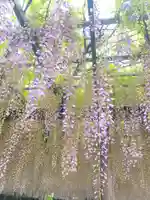 潮音寺(愛知県)