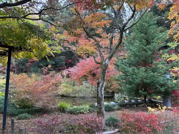 本土寺(千葉県)