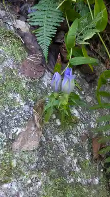 浄瑠璃寺(京都府)