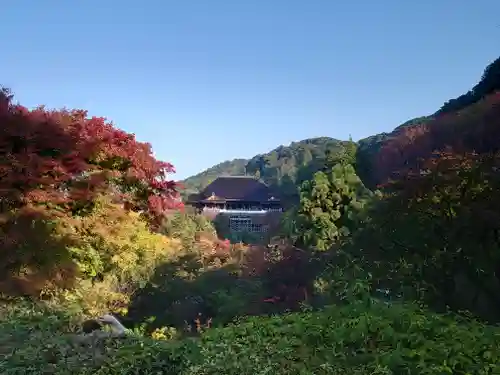 清水寺の景色