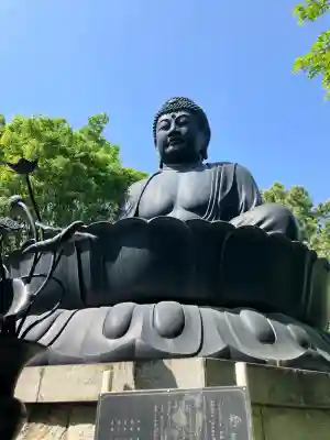 乗蓮寺の{uncategorized: "未分類", other: "その他", undefined: "問題あり", building: "その他建物", grave: "お墓", sacred_gate: "鳥居", guardian: "狛犬", statue: "像", buddha: "仏像", history: "歴史", nature: "自然", garden: "庭園", animal: "動物", pagoda: "塔", temizu: "手水舎", mountain_gate: "山門・神門", sanctuary: "本殿・本堂", subordinate: "末社・摂社", art: "芸術", scenery: "景色", jizo: "地蔵", ema: "絵馬", goshuin: "御朱印", omikuji: "おみくじ", items: "授与品その他", amulet: "お守り", goshuincho: "御朱印帳", eats: "食事", festival: "お祭り", votive_dance: "神楽", shichigosan: "七五三参", wedding: "結婚式", experience: "体験その他", initially: "初詣", around: "周辺", anti_infection: "感染症対策"}