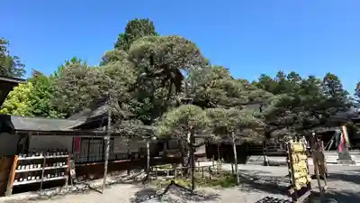 甲斐國一宮 浅間神社(山梨県)