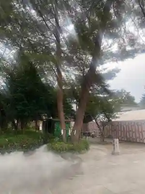 櫻木神社(千葉県)