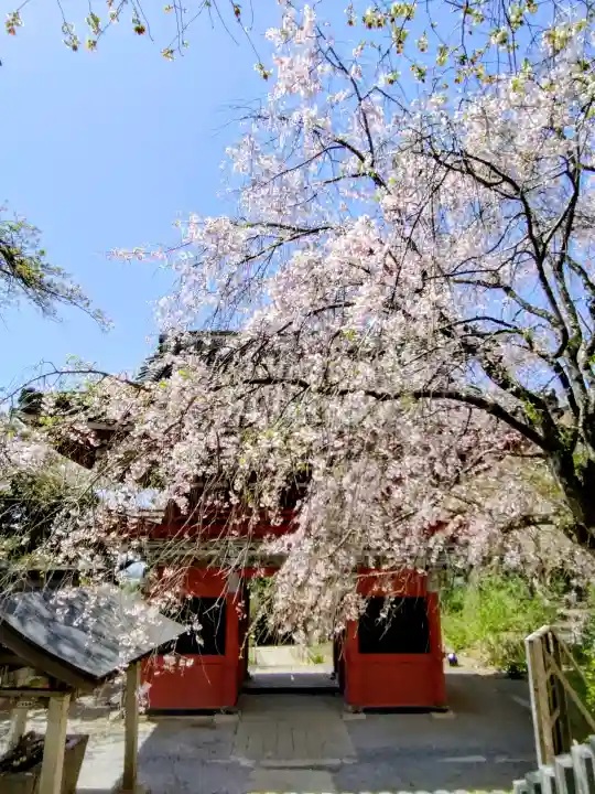 楽法寺(雨引観音)(茨城県)