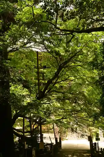 圓教寺(兵庫県)