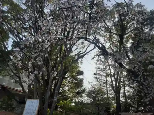 伊勢山皇大神宮(神奈川県)