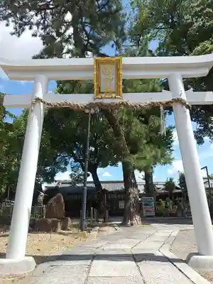 縣神社の鳥居