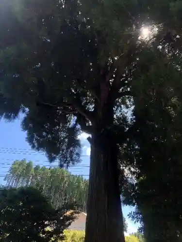 祖母嶽神社の自然