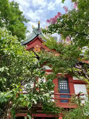 東神奈川熊野神社(神奈川県)