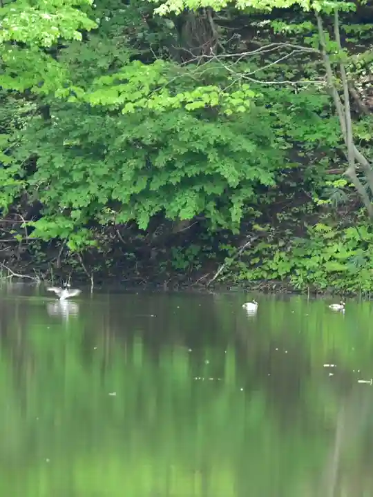 郡殿の池弁財天社(新潟県)