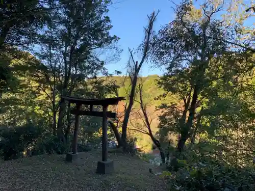 日吉神社の鳥居