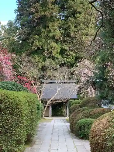 安楽寺のその他建物