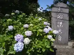 大船観音寺(神奈川県)