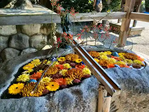 都波岐奈加等神社の手水