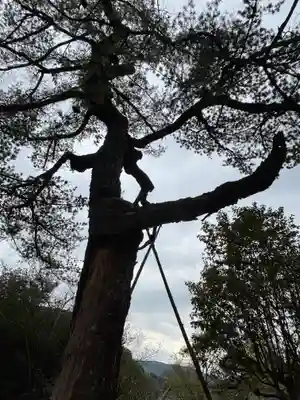 性海寺(兵庫県)