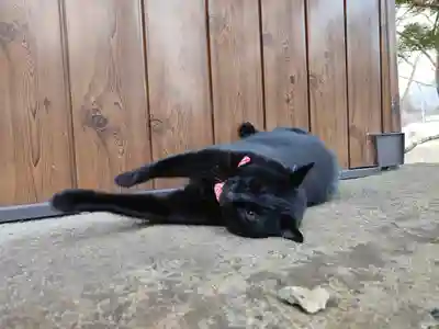 高司神社〜むすびの神の鎮まる社〜(福島県)