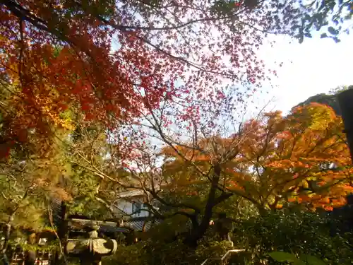 安國論寺（安国論寺）の景色