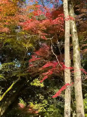 賀茂別雷神社（上賀茂神社）(京都府)