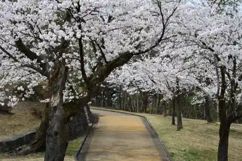 蒼柴神社(新潟県)