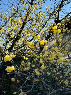 大蓮寺(京都府)