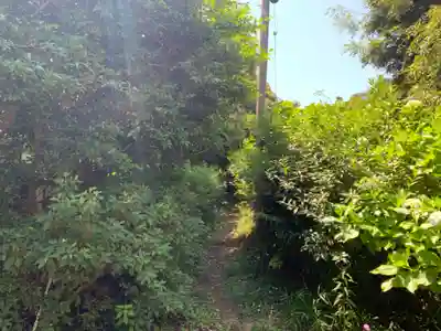 浅間神社の周辺