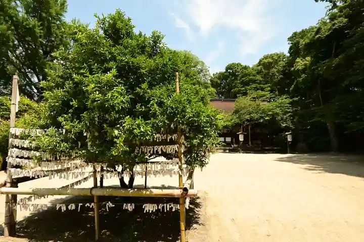 廣瀬大社(奈良県)