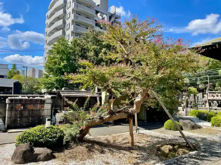 良泉寺(神奈川県)
