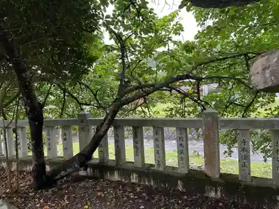 伊伎佐神社(兵庫県)