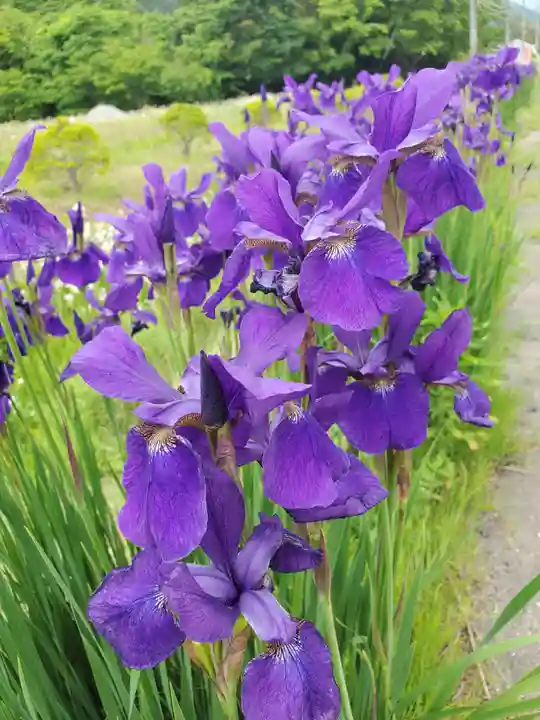 高司神社〜むすびの神の鎮まる社〜(福島県)