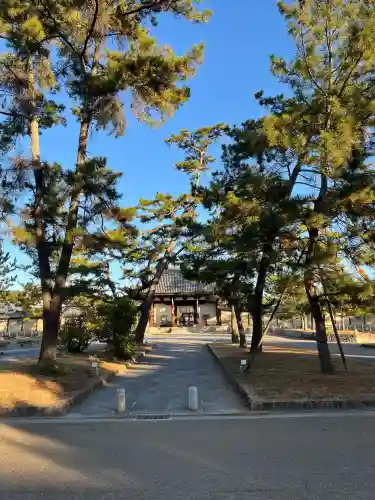 法隆寺(奈良県)