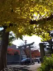 福井神社(福井県)