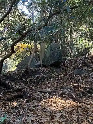 出雲大神宮(京都府)