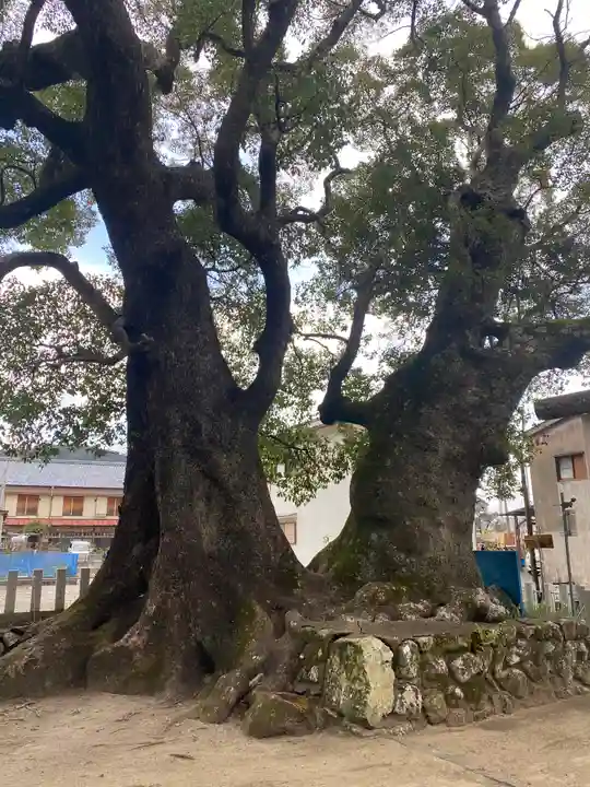 熊野三所大神社(浜の宮王子)の自然