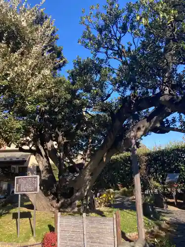 慈眼寺(神奈川県)