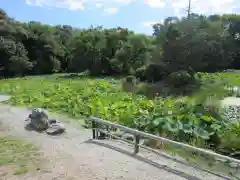 勧修寺(京都府)