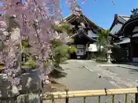 妙顯寺(妙顕寺)(京都府)