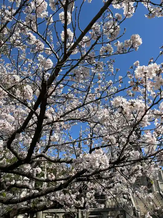 十日恵比須神社の自然