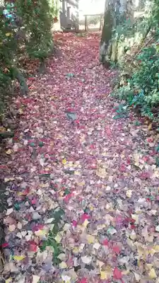 松尾寺(京都府)