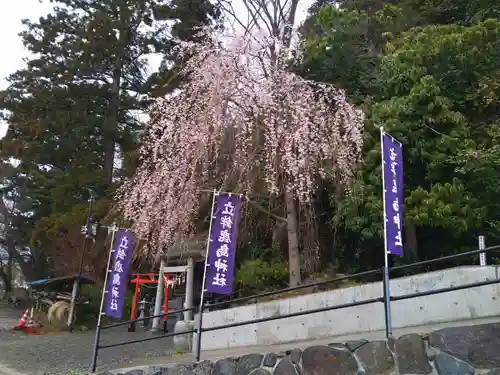 立鉾鹿島神社の自然