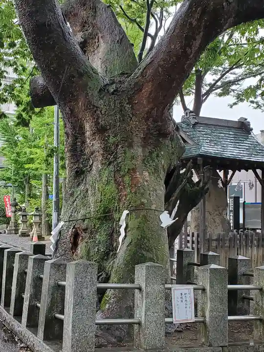 阿邪訶根神社の自然