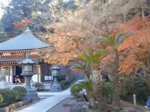 天嶽院の景色