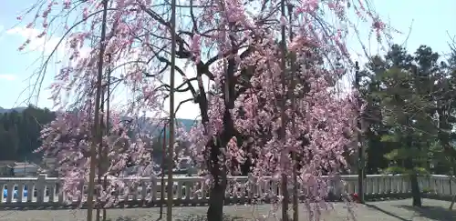 浅間神社の景色