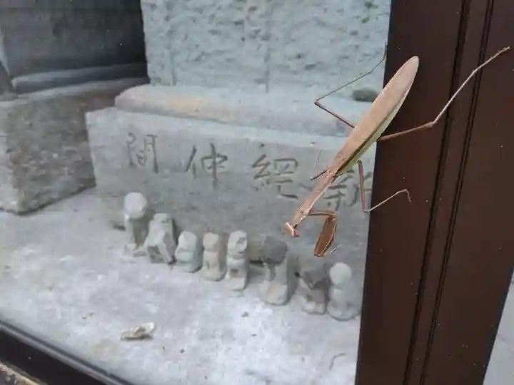 白髯神社(福井県)