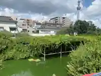 亀戸天神社(東京都)