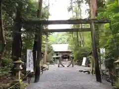 椿大神社の鳥居